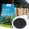 plant biostimulants flake organic seaweed fertilizer for promote the growth of crops